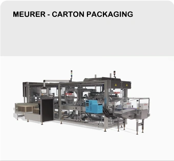 Carton Packaging